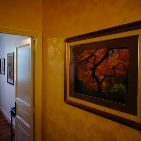 La Maison Verte ألبي