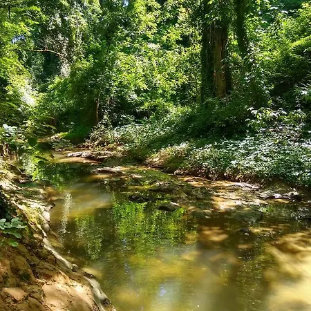 بيت ضيافة La Maison Verte 3*