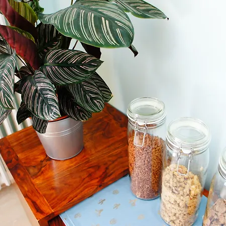 بيت ضيافة La Maison Verte ألبي