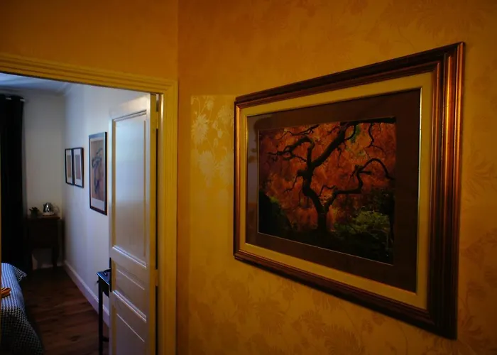 La Maison Verte 阿尔比