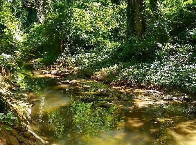 招待所 La Maison Verte 3*