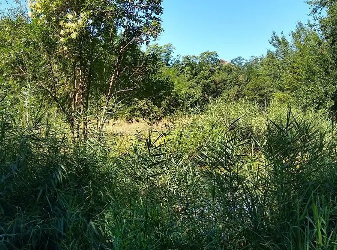 La Maison Verte 3* 阿尔比