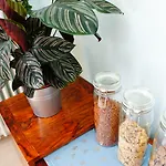 ゲストハウス La Maison Verte アルビ