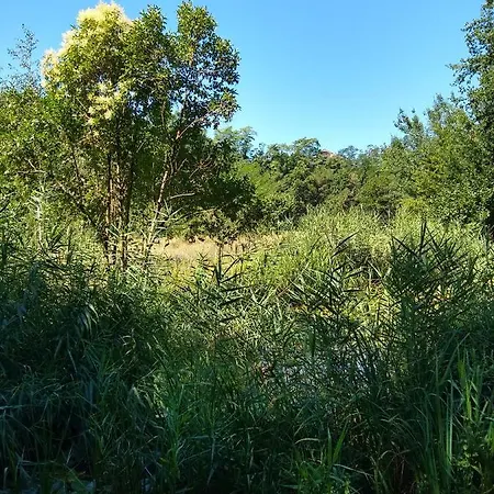 La Maison Verte 3* Albi